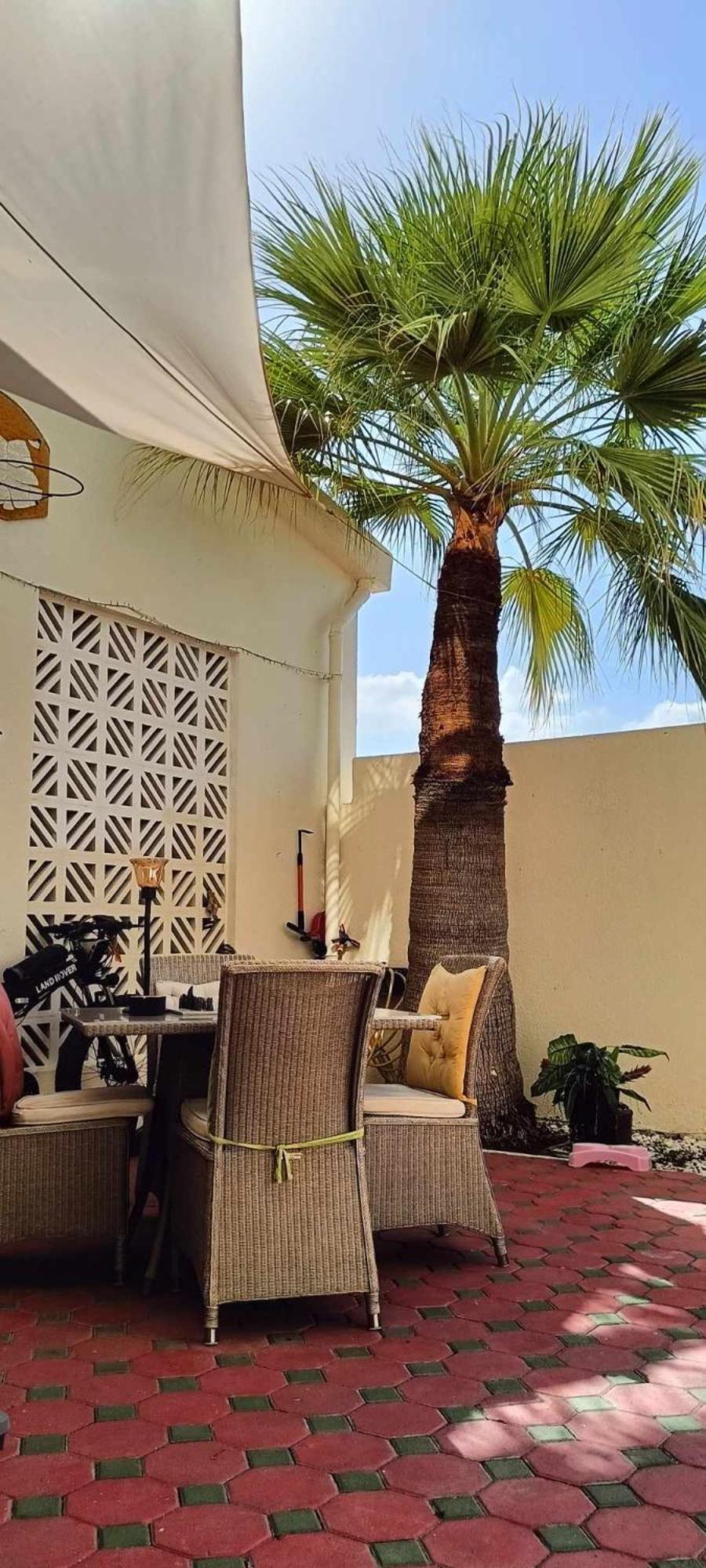 Jumeirah Beach Villa Дубай Екстериор снимка